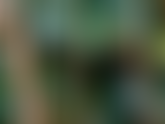 what jobs to do in sevenoaks gardens in March