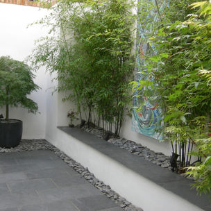 A japanese acer tree in a pot, next to a raised bed with bamboo