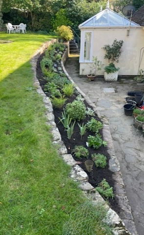 A raised bed in a garden with green lawn to the left freshly planted 