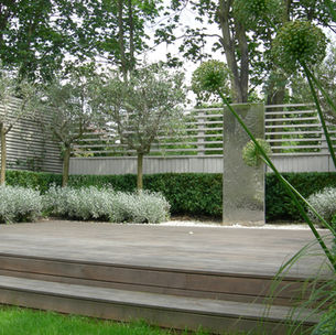 seating area with olive trees and water feature