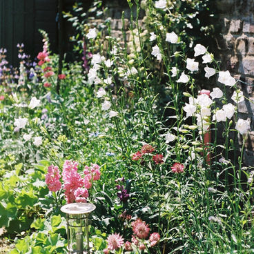 Pretty planting