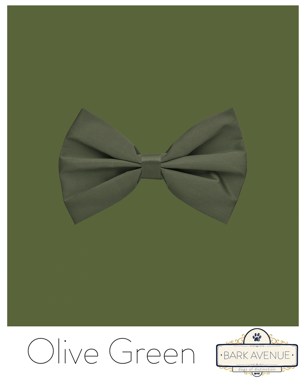 Thumbnail: XS/S Button On Bow Tie