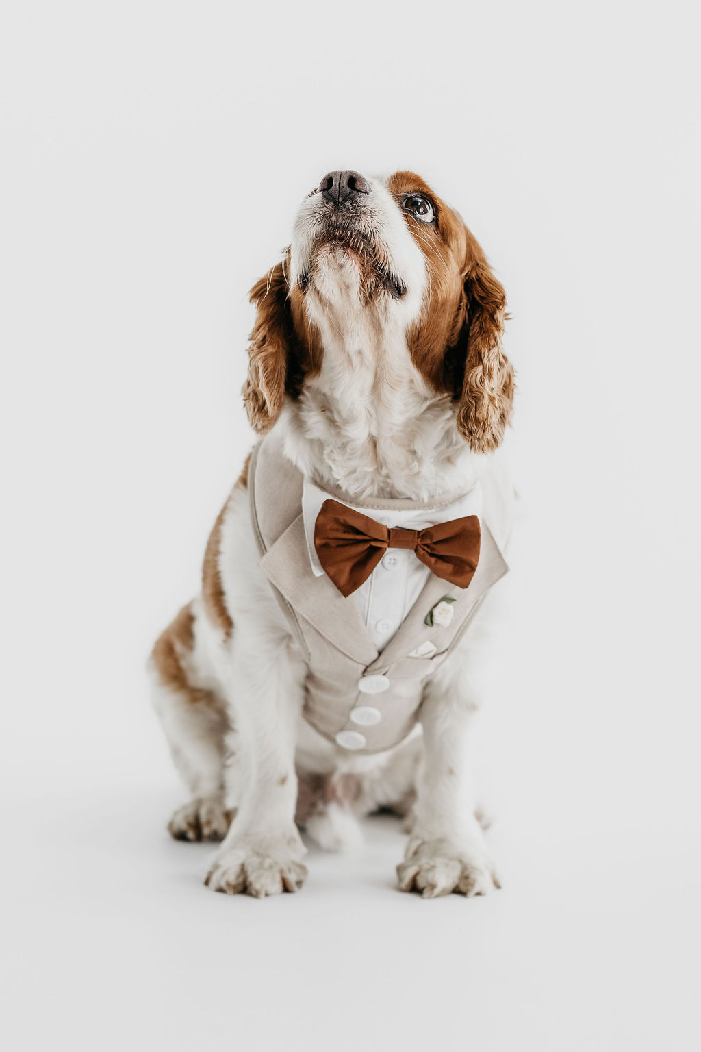 Bone Tuxedo with White Shirt Harness