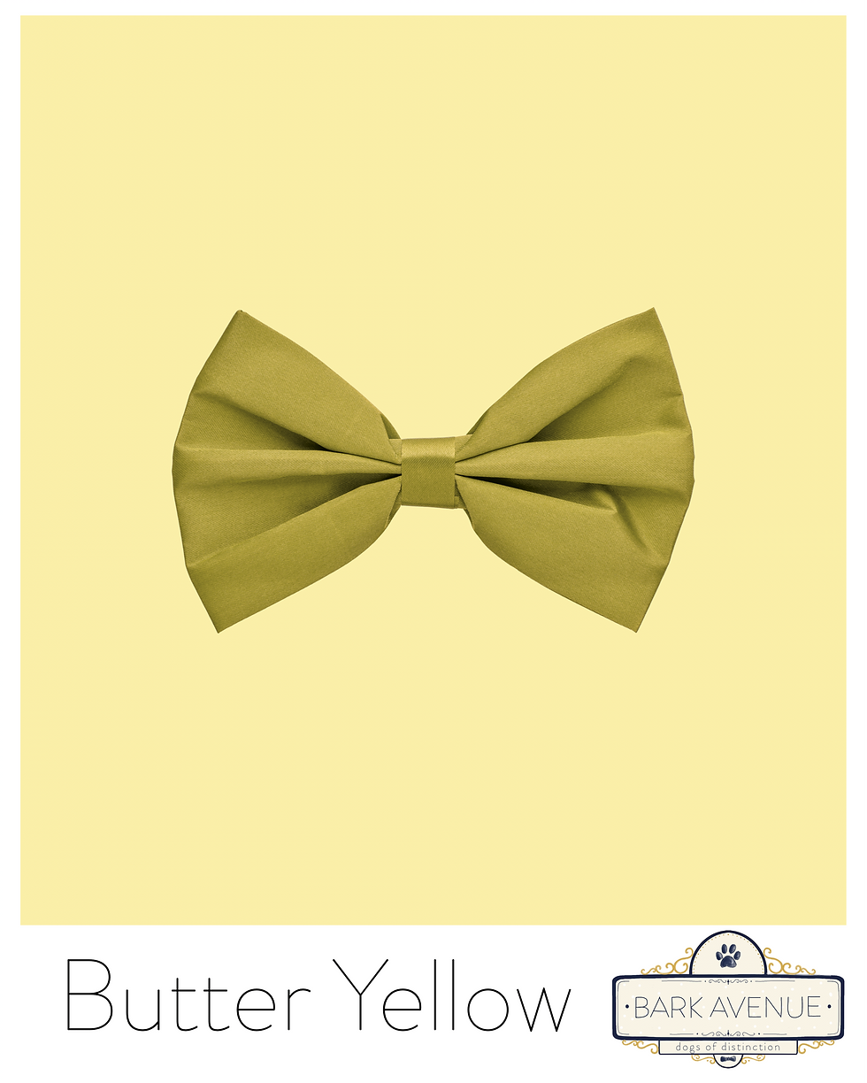 Thumbnail: Bow Tie Bundle M/L/XL - (3) PACK