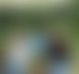 久しぶりのお客さま〜!