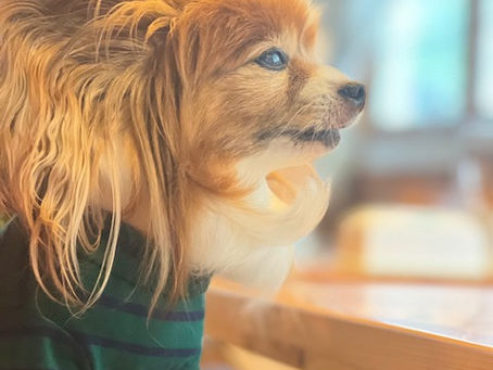 グリーンシーズン満喫!