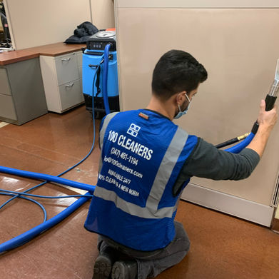 Carpet Cleaning 100 Cleaners.jpg