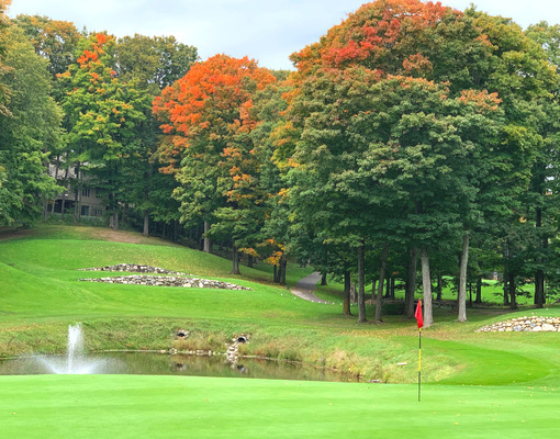 birchwood golf course 1.gif