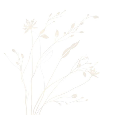 LVLF LOGO background (1).jpg