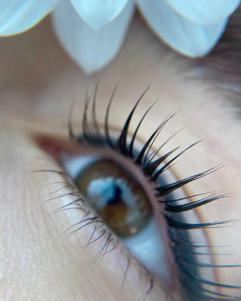 Lash lift in Miami