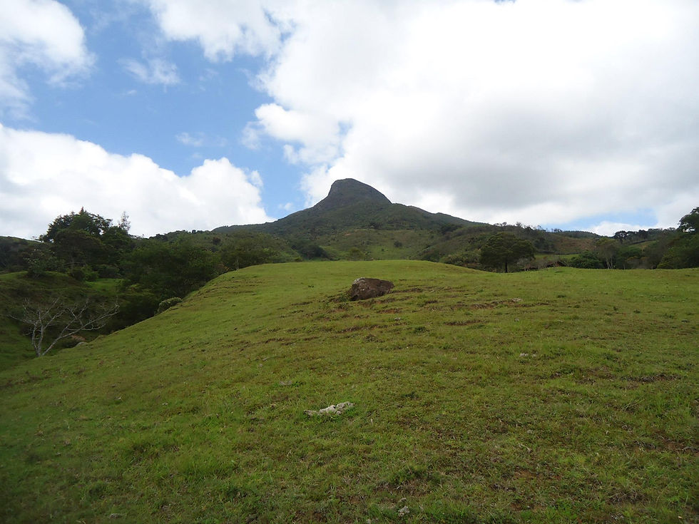 CERRO COLAMBO.jpg