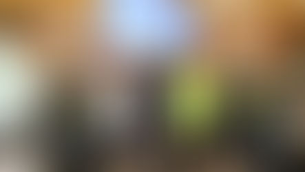 Dob Seniorstornooi 2023-2024