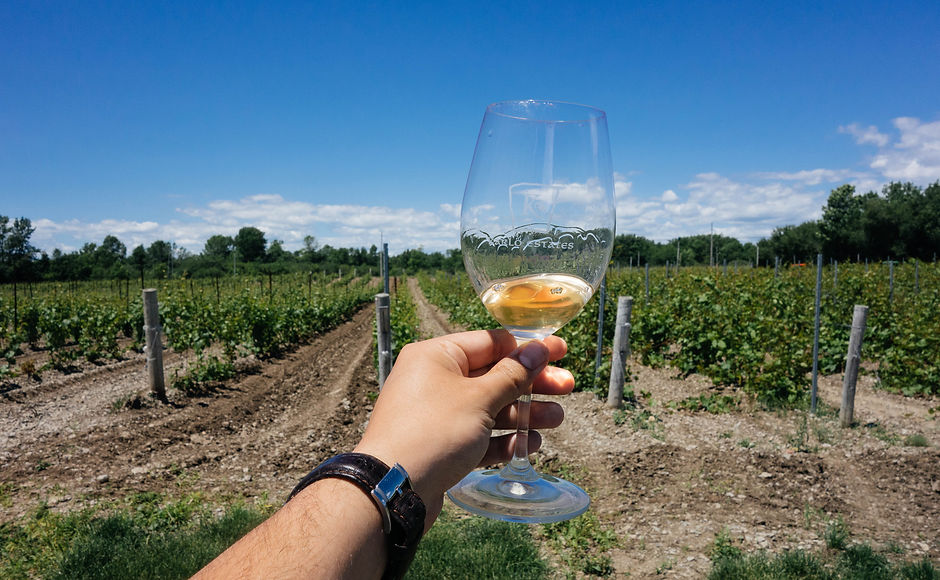 Wine_Vineyard_TGW[1].jpg