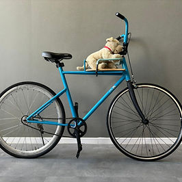 Dog Carrier Bicycle