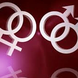 Writer: Same-Sex Maintenance Project