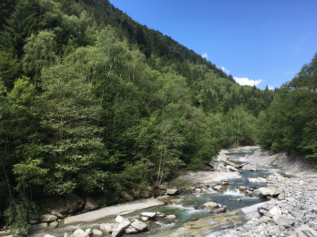 IMG_1050.jpeg