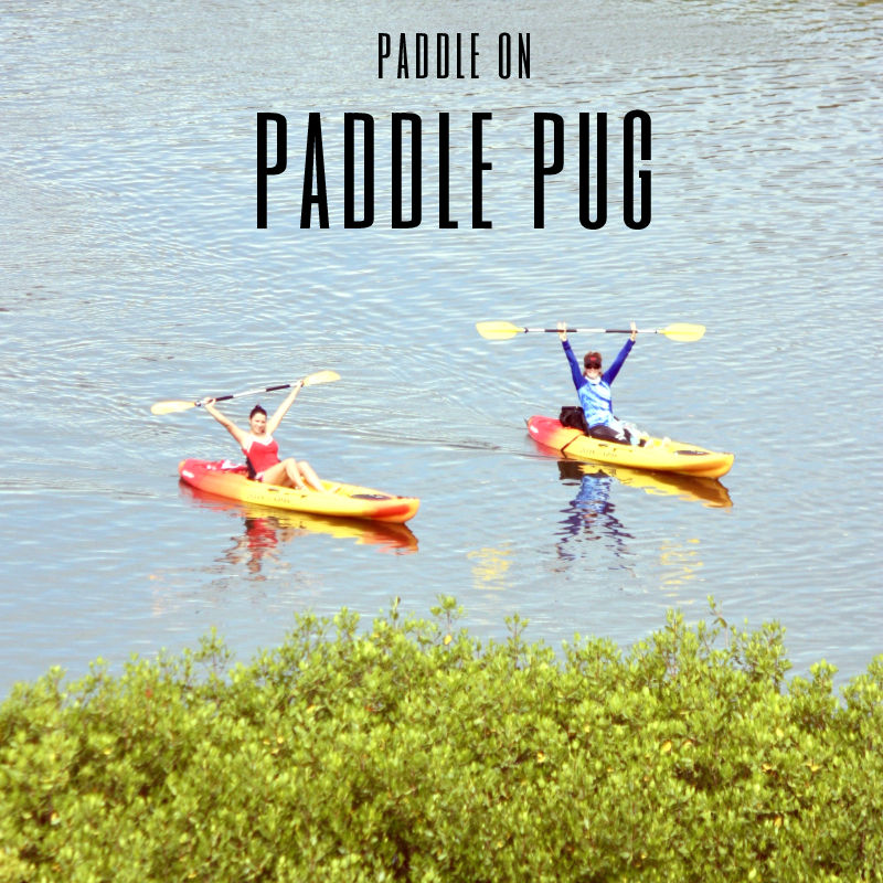 Thumbnail: Weekly Rental - Single Kayak