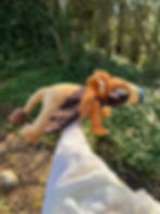 Thumbnail: Golden Eagle and Lion Griffon