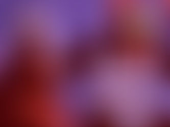 Mulheres e fotografia