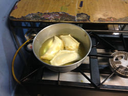 Disertaciones Proyecto Microempresas