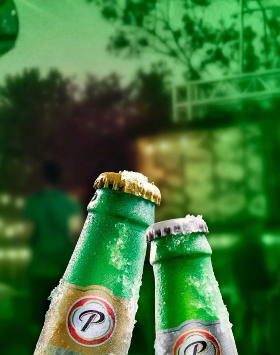 Diciembre vibrará a ritmo del Festival Presidente