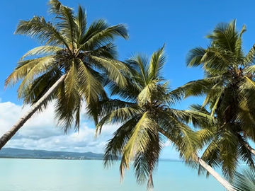 Zemi Miches, un paraíso  de lujo entre montañas  y el mar Caribe