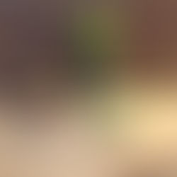 3.6 牛乳「抹茶醬」做法大公開