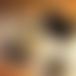 娃娃菜豬肉三角餃子