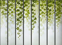 verrière VITALBOX.jpg