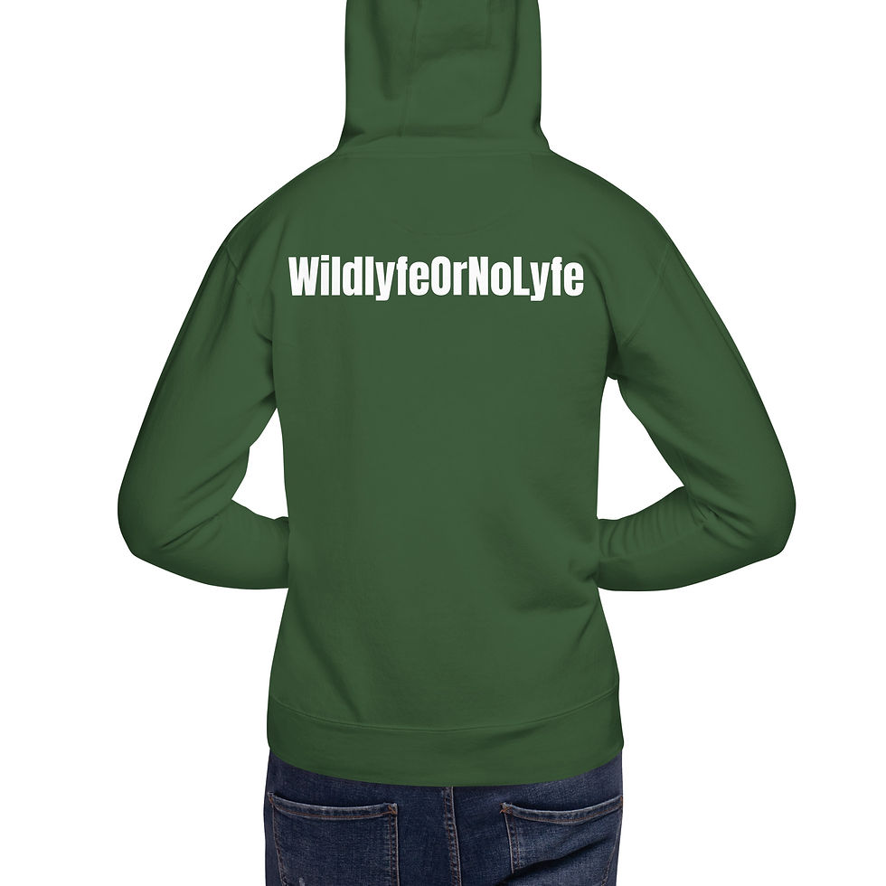 Thumbnail: OG HOODIE