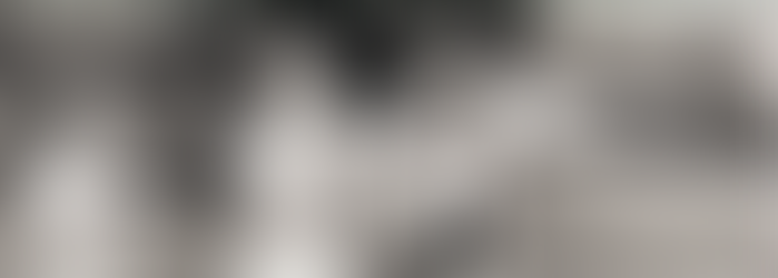 My Early Encounter with Roger Tory Peterson: Learning from a Master