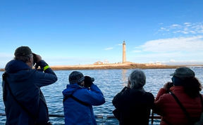 Spark Birding Joins the Acadia Birding Festival
