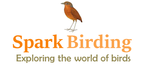 Spark Birding logo