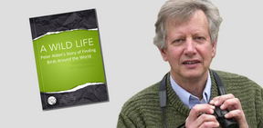 A Wild Life: Growing Up in Concord