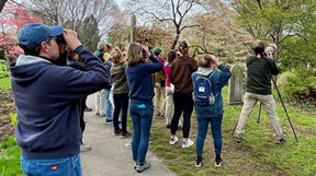 Mt. Auburn Field Trip Recap