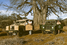 Tanzania: Close Calls and Wild Encounters