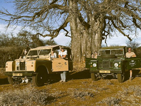 Tanzania: Close Calls and Wild Encounters