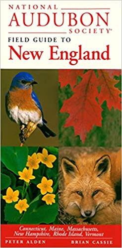 Thumbnail: Course, Journal, and Field Guide
