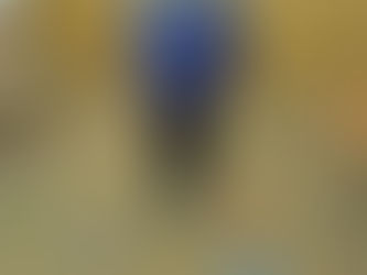 プログラミングの基本!わかれ道を進もう!