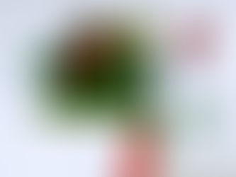やさい畑のできあがり