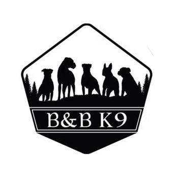 BBK9
