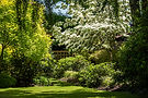 glen-nyhus-creations-garden-DSC01949-1200x800.jpg