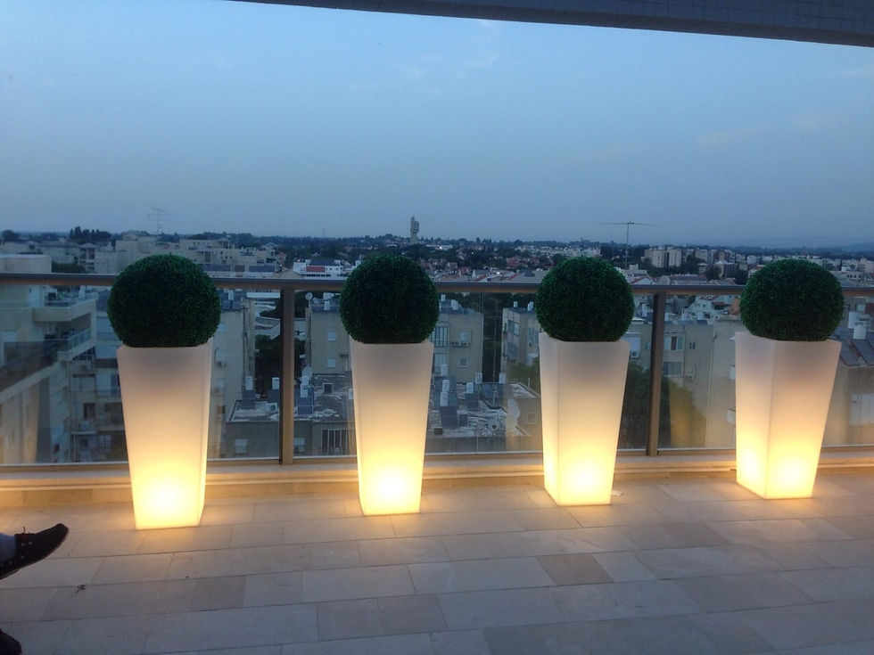 ג'נסיס מרובע