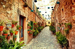 Charming Pathway_edited.jpg