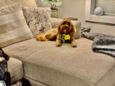 IMG_7937.jpeg
