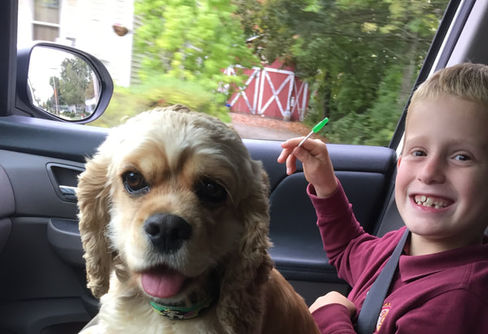 Beautiful champion pedigree buff AKC Cocker Spaniel momma living her best life in NH as part of the Chesley Hill Cockapoos family, premier family Cockapoo breeder in NH providing Cokapoo puppies to families in Boston, Cape Cod, Massachusetts, Hartford, CT, New York City, Manhattan, Brooklyn, Dumbo, New York, Philadelphia, PA, Portsmouth, Hooksett, NH, Portland, Kennybunkport, ME, Newport, RI, Morris County, Spring Lake, NJ, Vermont, all of New England and the East Coast.