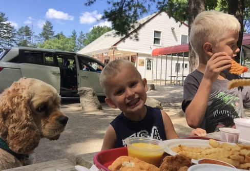 Beautiful champion pedigree buff AKC Cocker Spaniel momma living her best life in NH as part of the Chesley Hill Cockapoos family, premier family Cockapoo breeder in NH providing Cokapoo puppies to families in Boston, Cape Cod, Massachusetts, Hartford, CT, New York City, Manhattan, Brooklyn, Dumbo, New York, Philadelphia, PA, Portsmouth, Hooksett, NH, Portland, Kennybunkport, ME, Newport, RI, Morris County, Spring Lake, NJ, Vermont, all of New England and the East Coast.