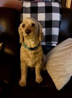 141195234_1046011975895362_6716493060345