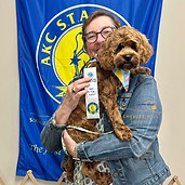 Chesley Hill Cockapoos Cockapo puppy earning his AKC Star Puppy award