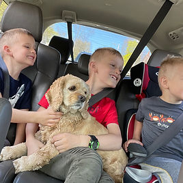 Cockapoo Family Breeder New England Chesley Hill Cockapoos